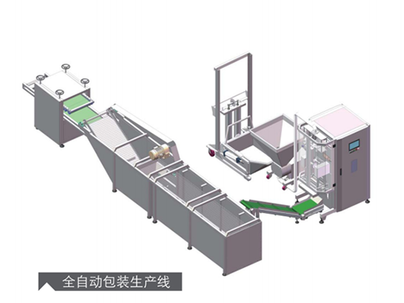 全自動(dòng)包裝生產(chǎn)線